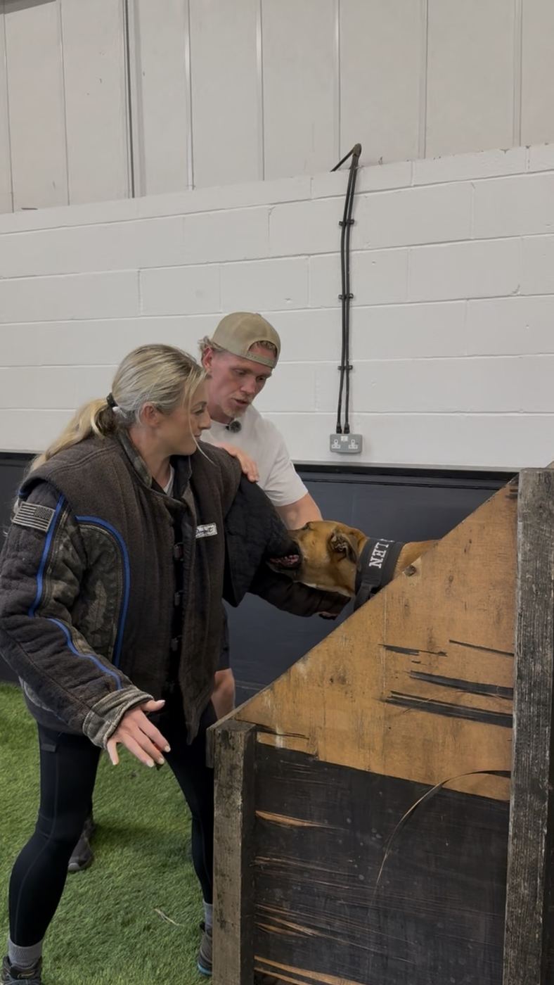 The Mutt Nut training a dog
