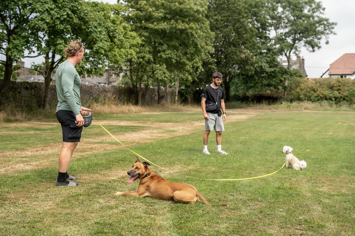 The Mutt Nut training a dog